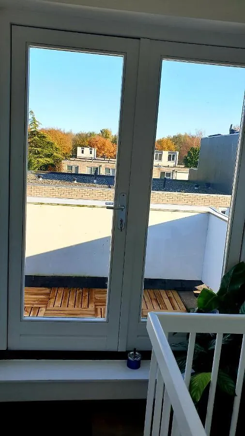 Bed & Breakfast Amor Guesthouse Amsterdam Paesi Bassi
